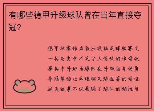 有哪些德甲升级球队曾在当年直接夺冠？